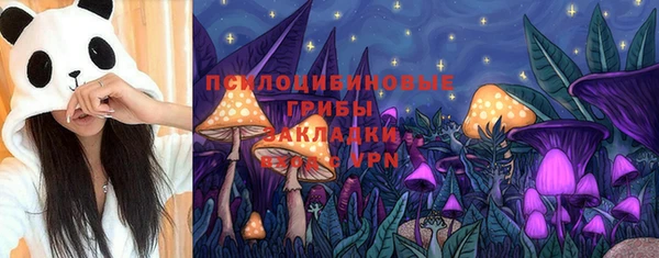 тгк Богородск